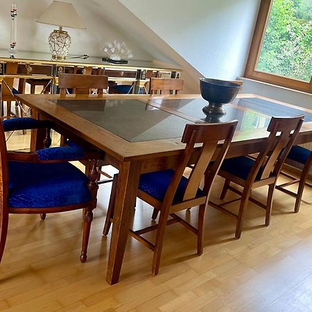 Wunderschoenes Grosses 3 Zimmer Apartament Zentrum Goldstadt Familienfreundlich Mit Garage Pforzheim Exterior foto